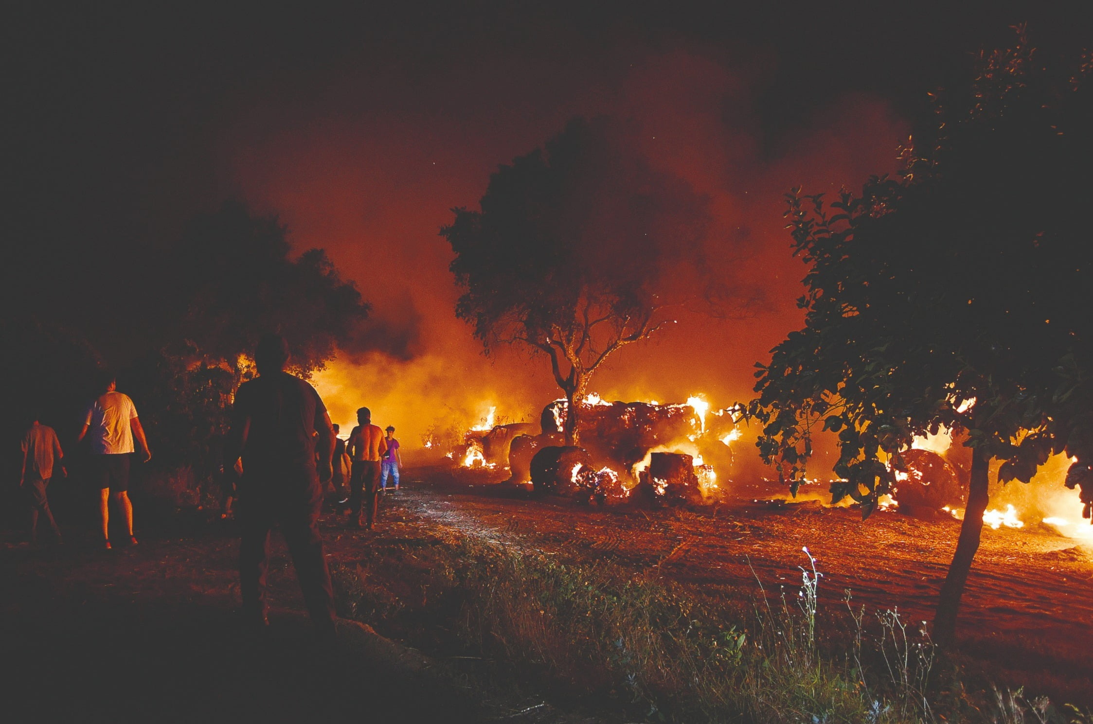 Incêndio em Oliveira de Azeméis: 100 Bombeiros em Ação