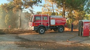 Carro em Chamas Provoca Incêndio em Grande Escala na Amora