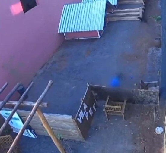 Uma Criança e uma Tragédia: O Atentado Inusitado em Nova Fátima