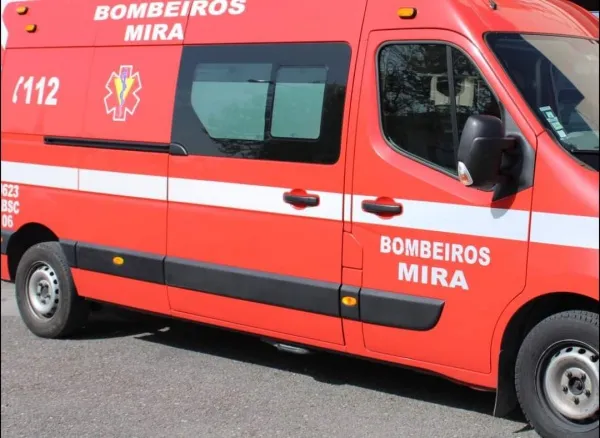 Atropelamento de Cadeira de Rodas na EN109: Incidente em Mira