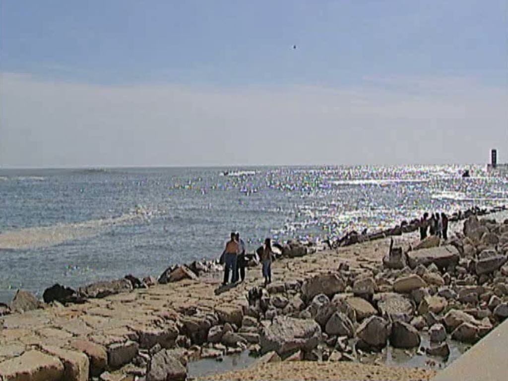 Pescador Lúdico Perde a Vida no Porto de Aveiro